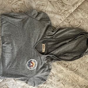 Hollister Hooded Long Sleeve Shirt
